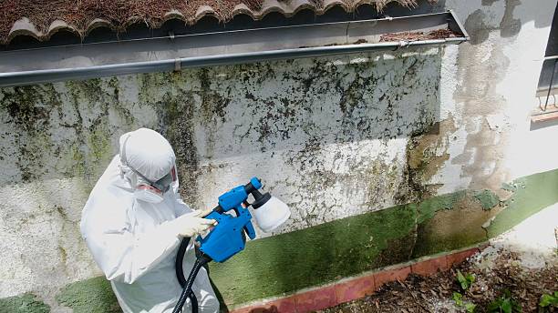 Trusted Mold Inspection service in Dupont, CO - Cheap Mold Removal